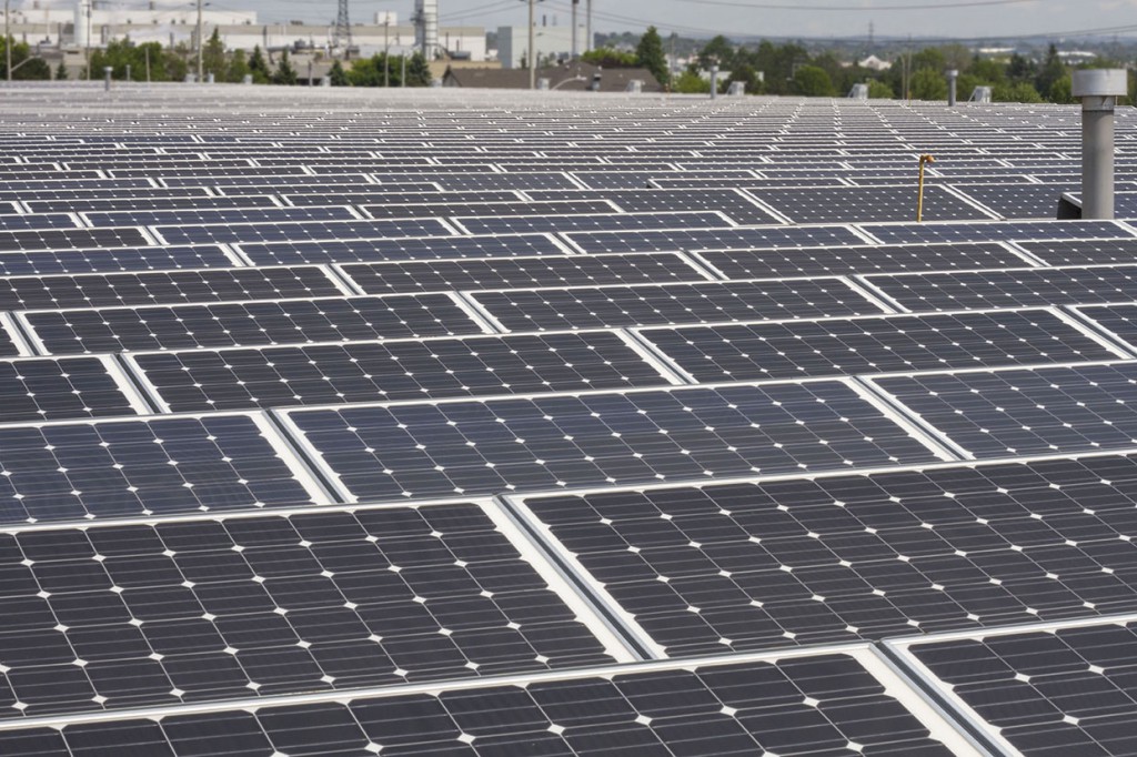 PPFD Sustainability project with Helene. vast solar panel installation covering the roof of PPFD's warehouse, reflecting the company's investment in renewable energy and sustainable practices.